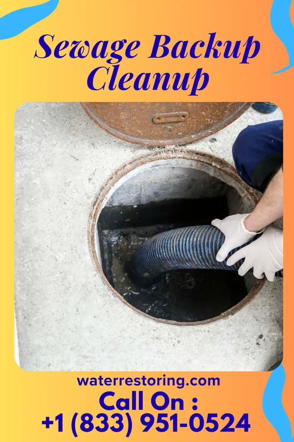 Sewage Backup Cleanup in Welch, OK