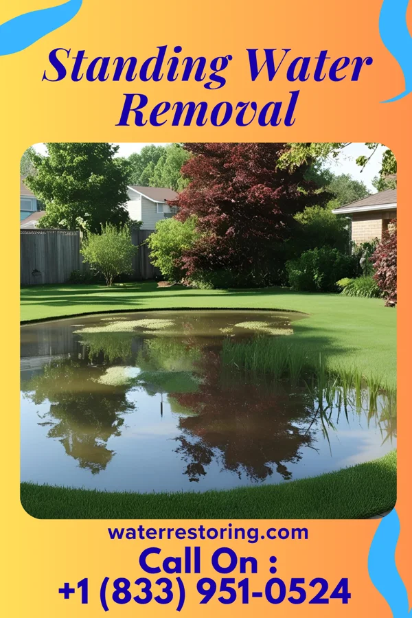 Standing Water Removal in Welch, OK